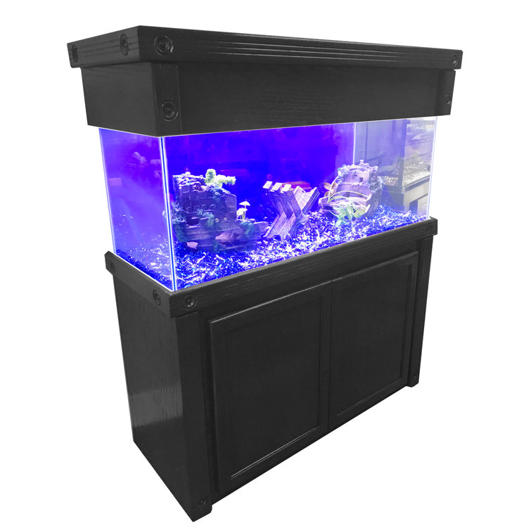 Aquarium best sale and cabinet